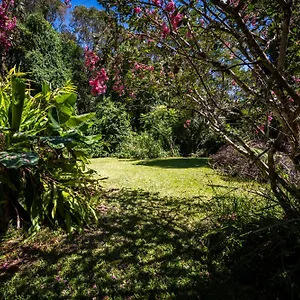 Tranquil Rainforest Kuranda